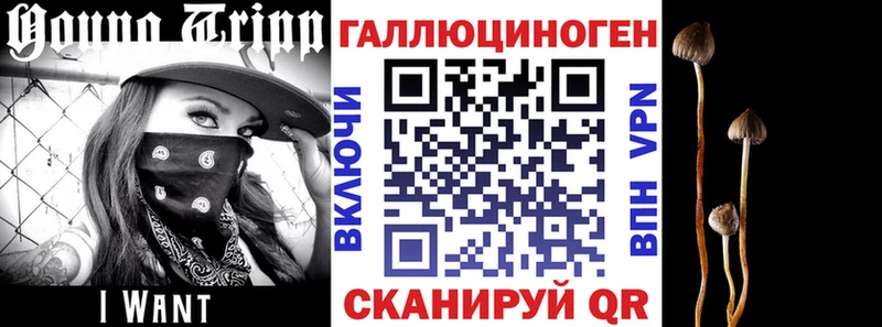 Галлюциногенные грибы MAGIC MUSHROOMS  цена наркотик  Макарьев 